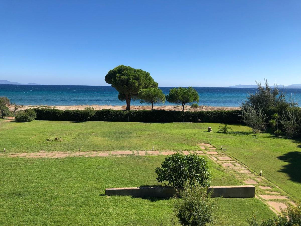 Beachfront Villa Hoopoe Schinias, Marathon Экстерьер фото