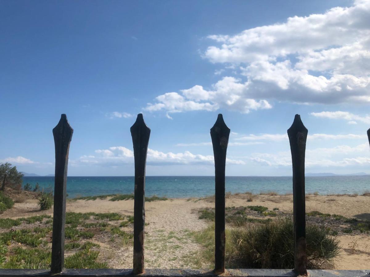 Beachfront Villa Hoopoe Schinias, Marathon Экстерьер фото