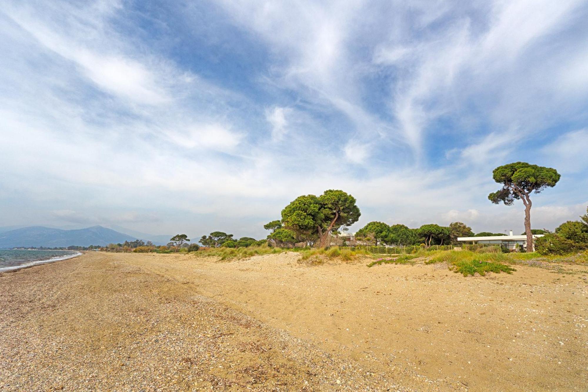 Beachfront Villa Hoopoe Schinias, Marathon Экстерьер фото